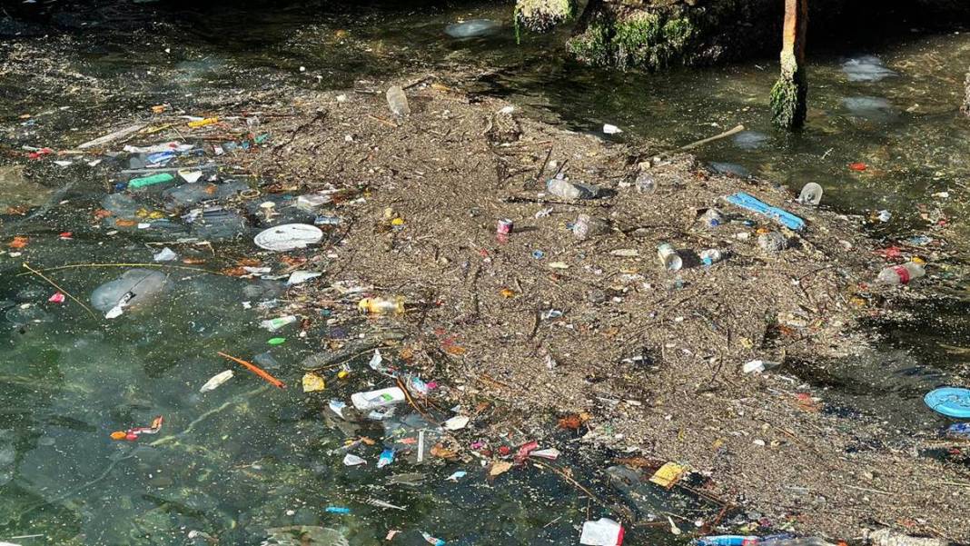 İstanbul'un o ilçesinde mide bulandıran görüntü! Bunu yapan insan olamaz... 1